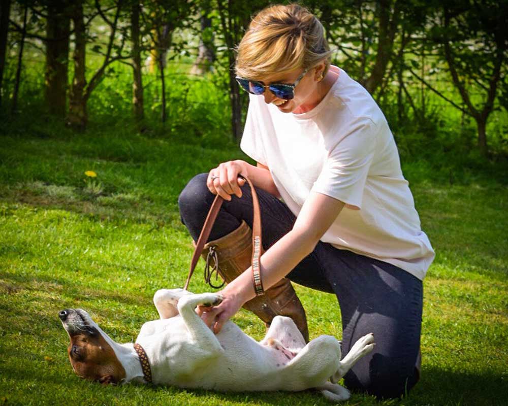 Animal and Equine Assisted Therapy