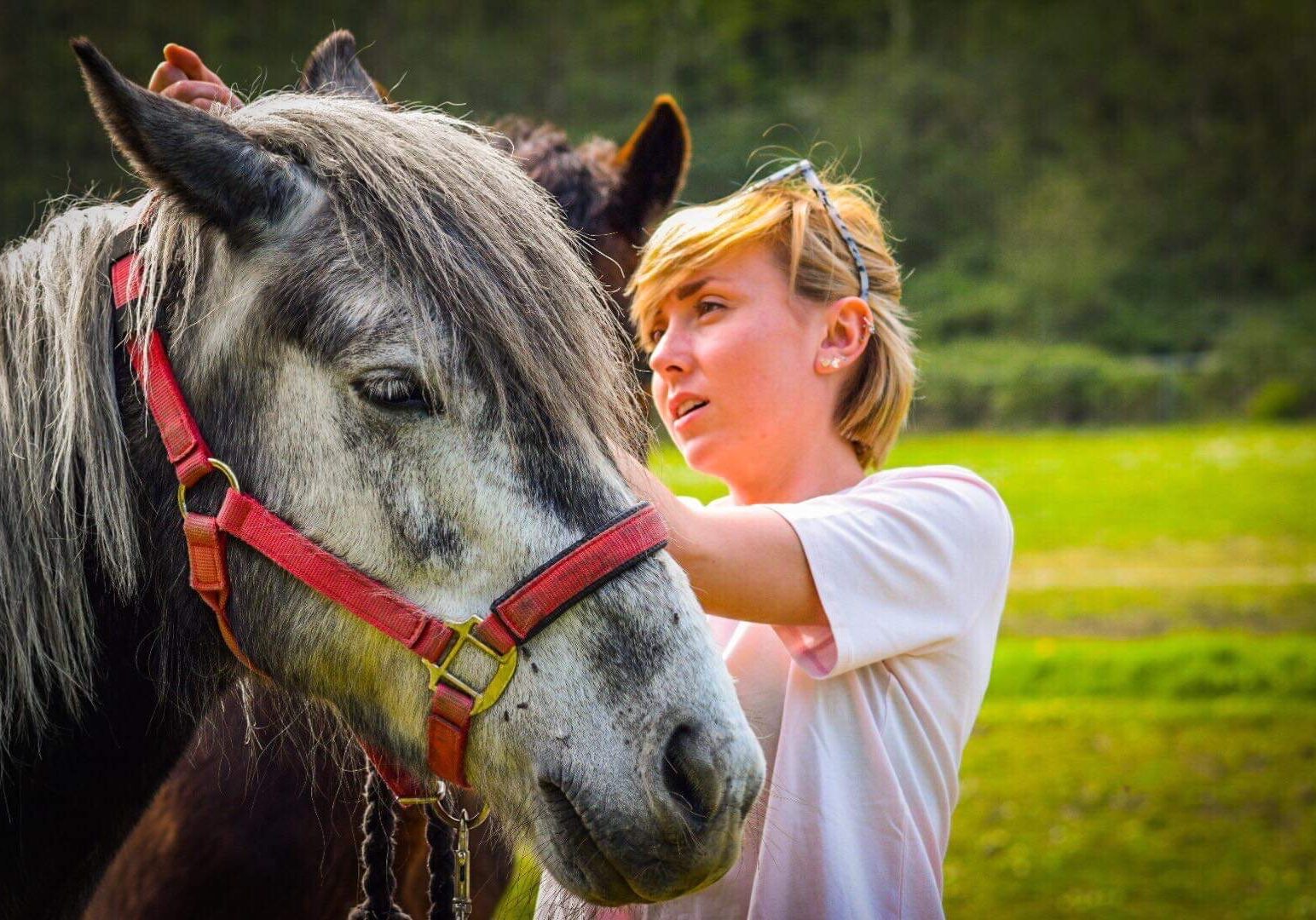 Phoebe Equine Therapy